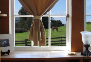 FP03_horse