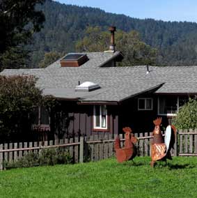 SunFlower Cottage