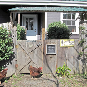 SunFlower Cottage