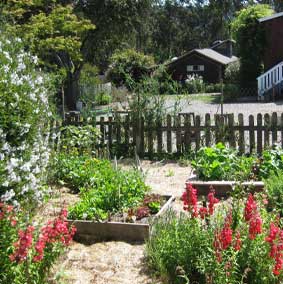 SunFlower Cottage